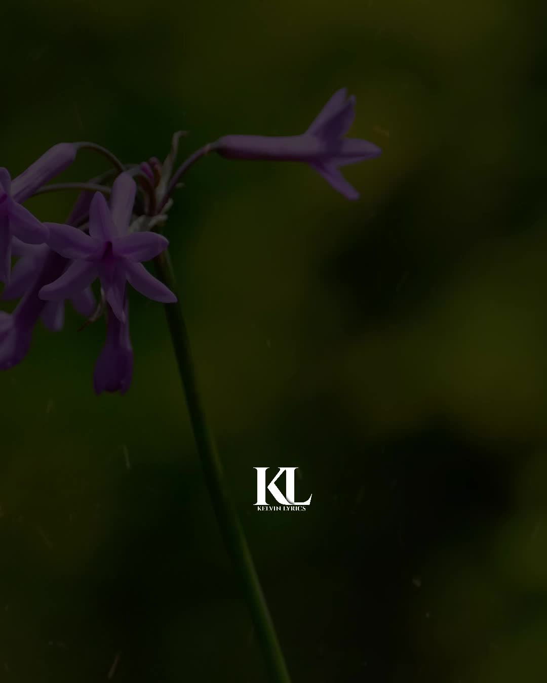 @𝐊𝐈𝐍𝐆 𝐎𝐅 𝐋𝐘𝐑𝐈𝐂𝐒