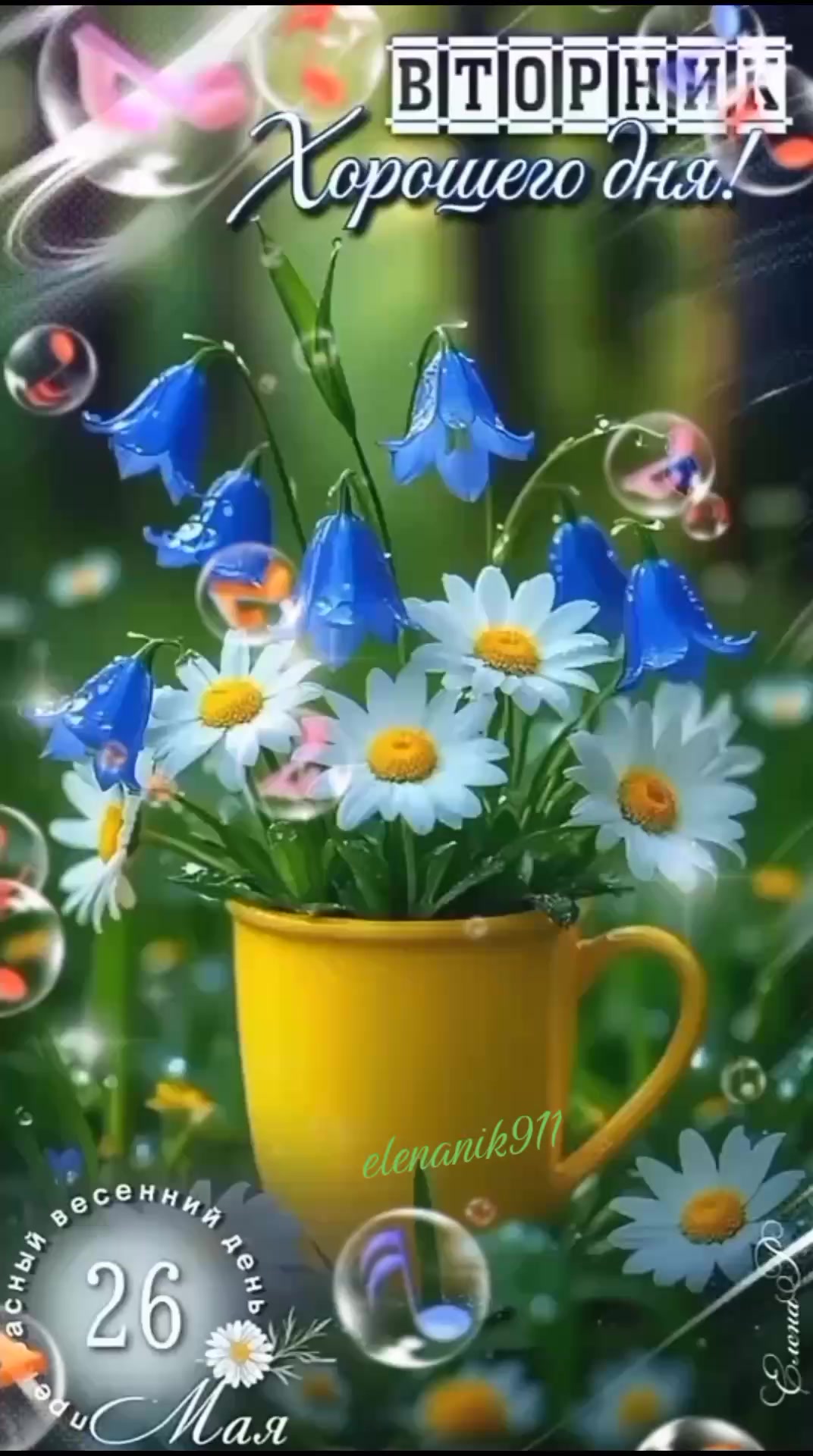 @꧁༺ 𝓔𝓵𝓮𝓷𝓪 ༻꧂