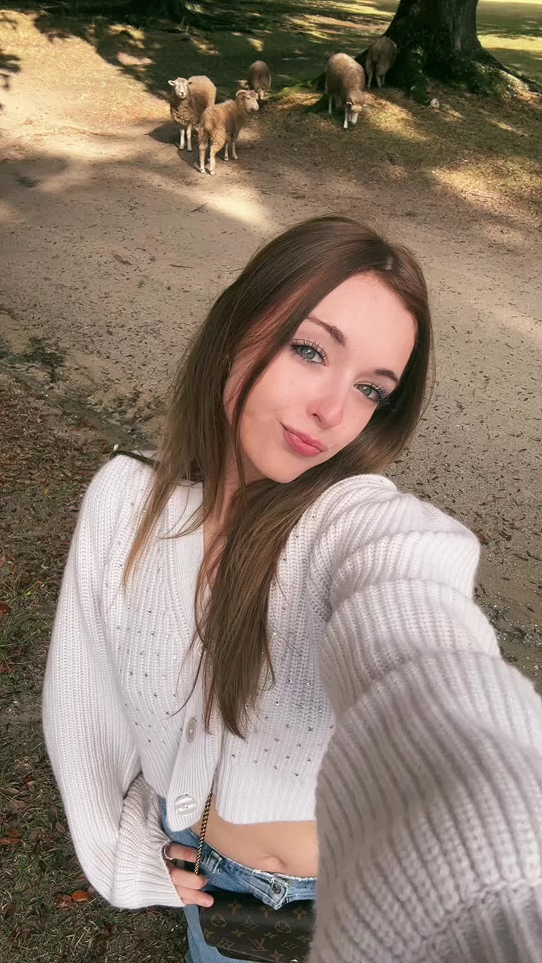 @๐ฆ