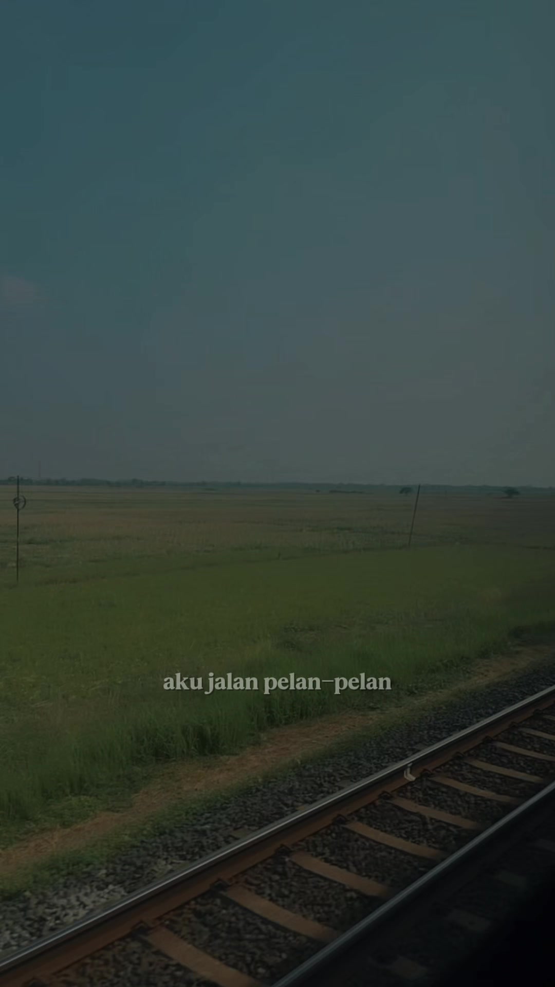 @Andri Mami Adamhani