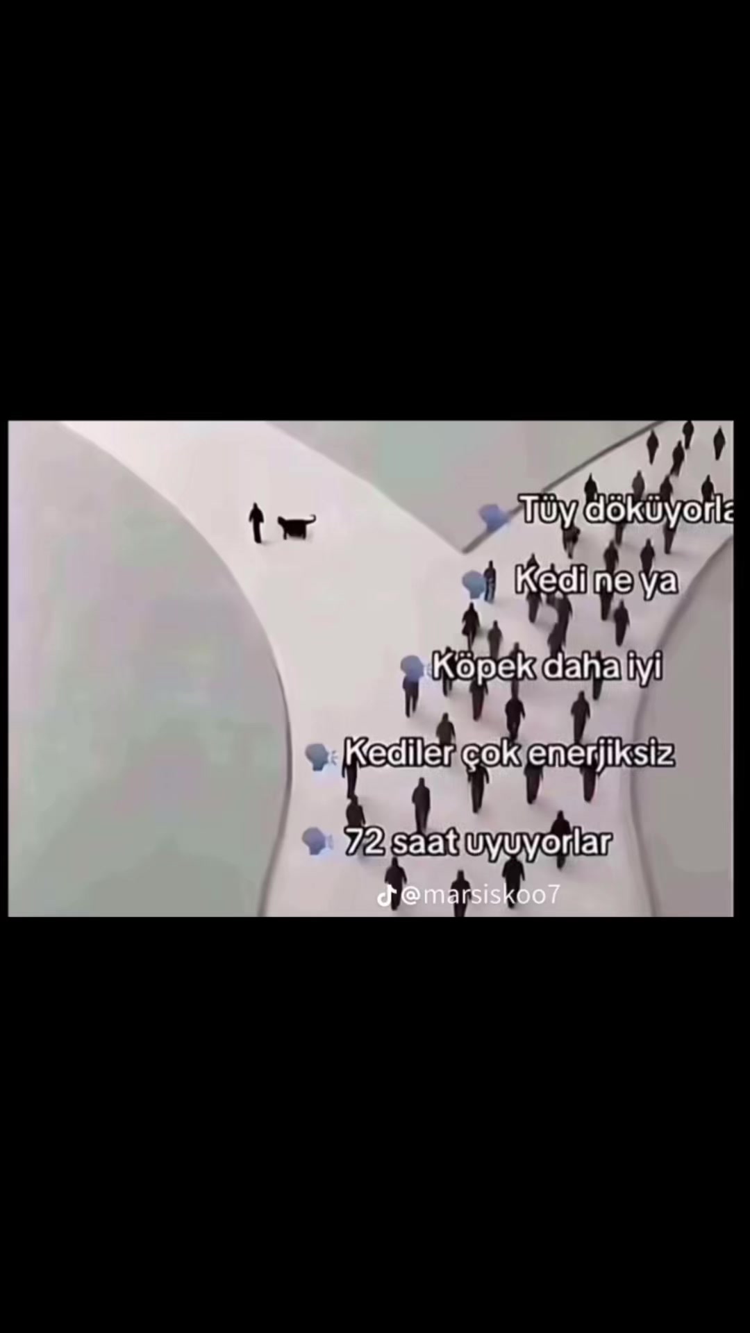 @perikorkmaz3379