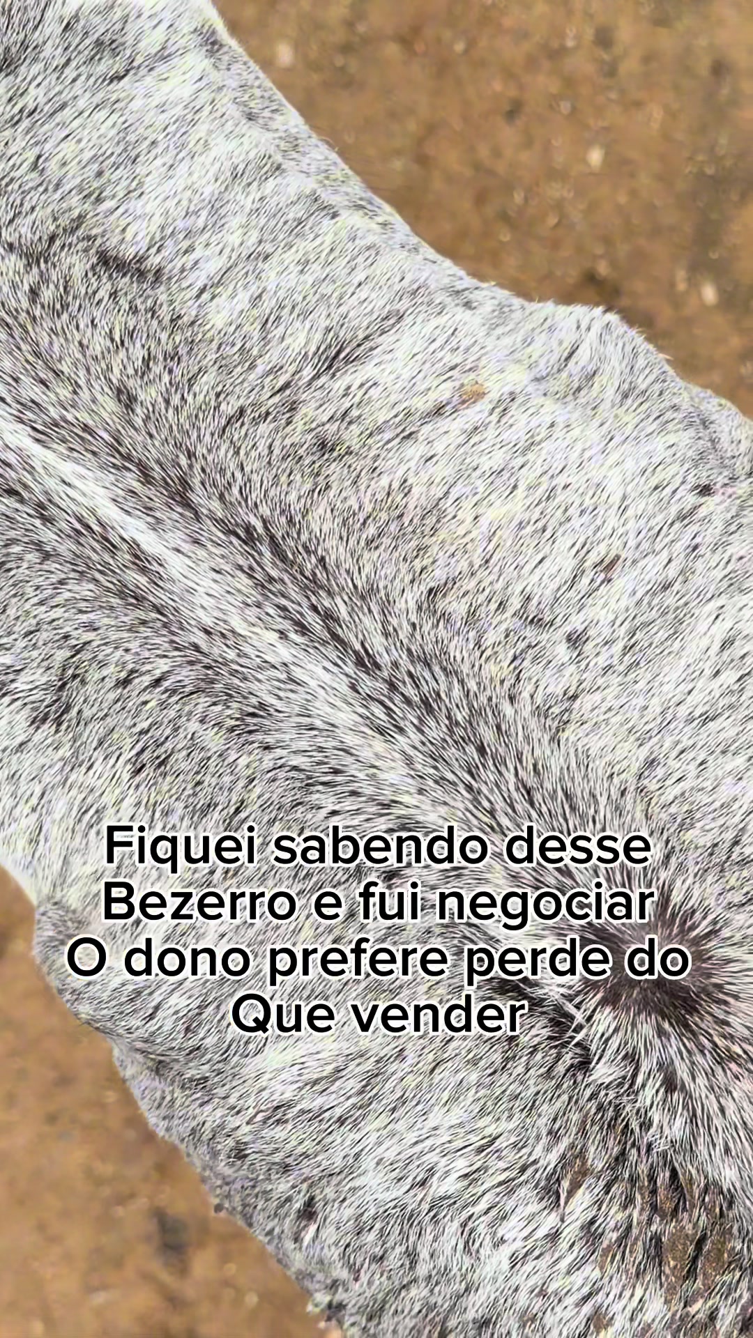 @Moisés Silva