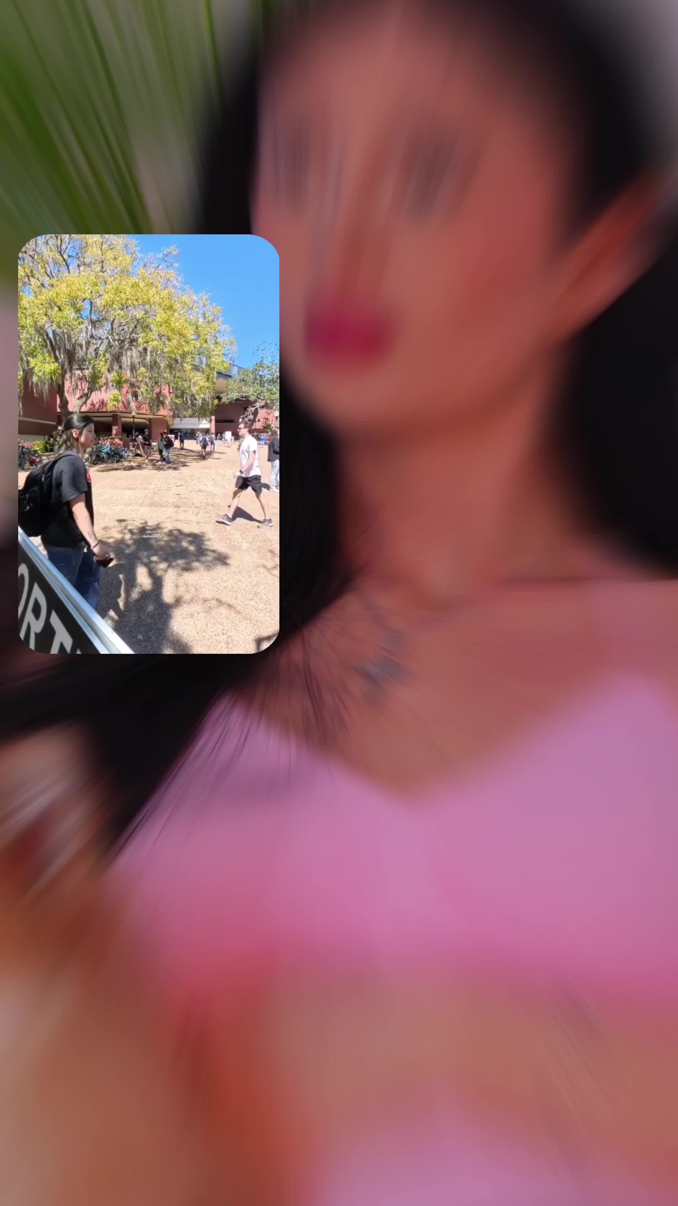 @Lilly Abella