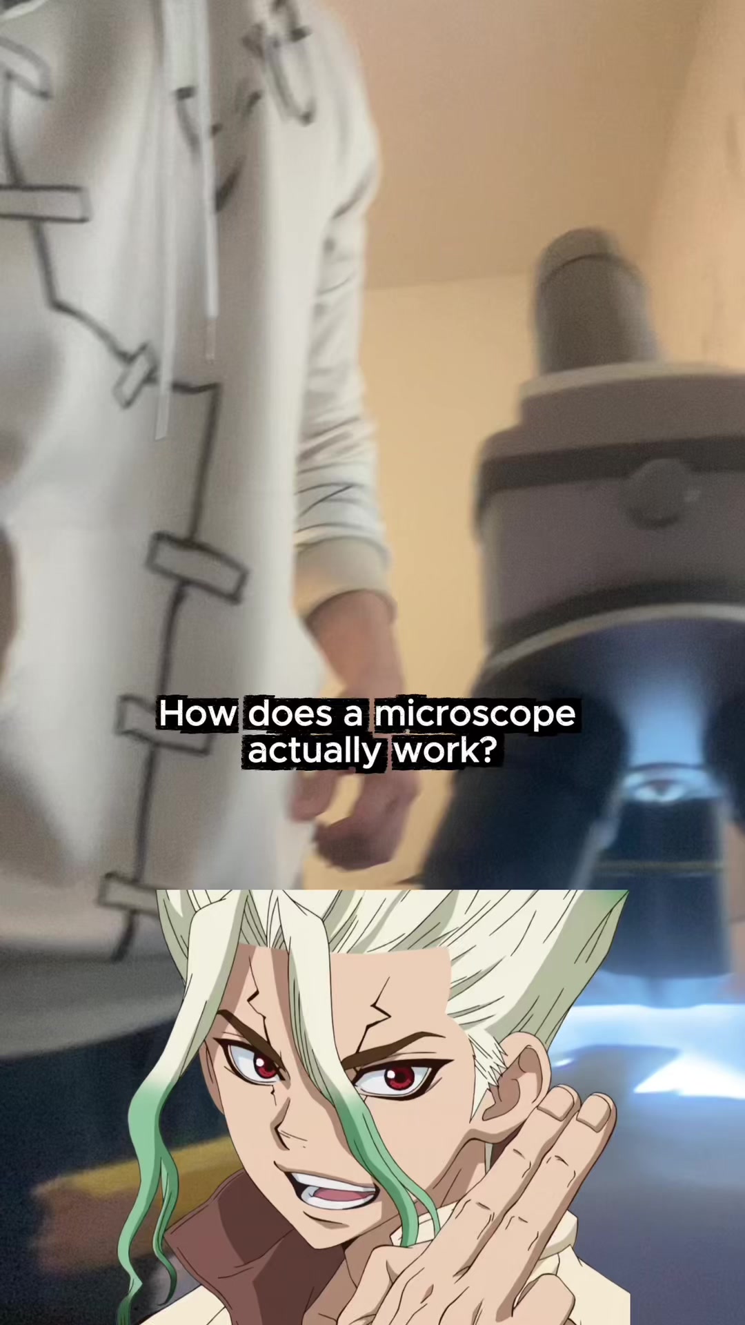 @Senku