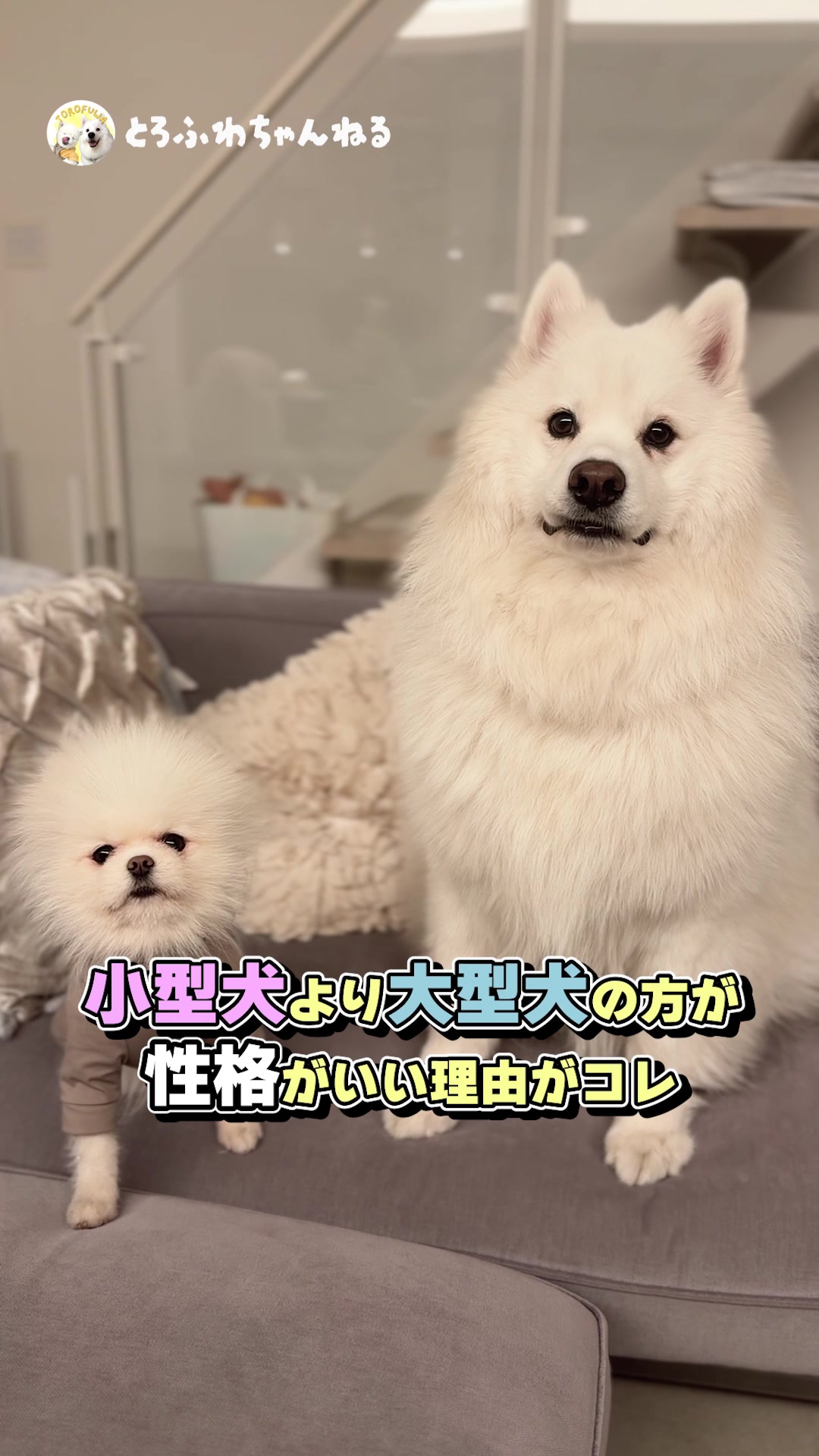 @とろふわ