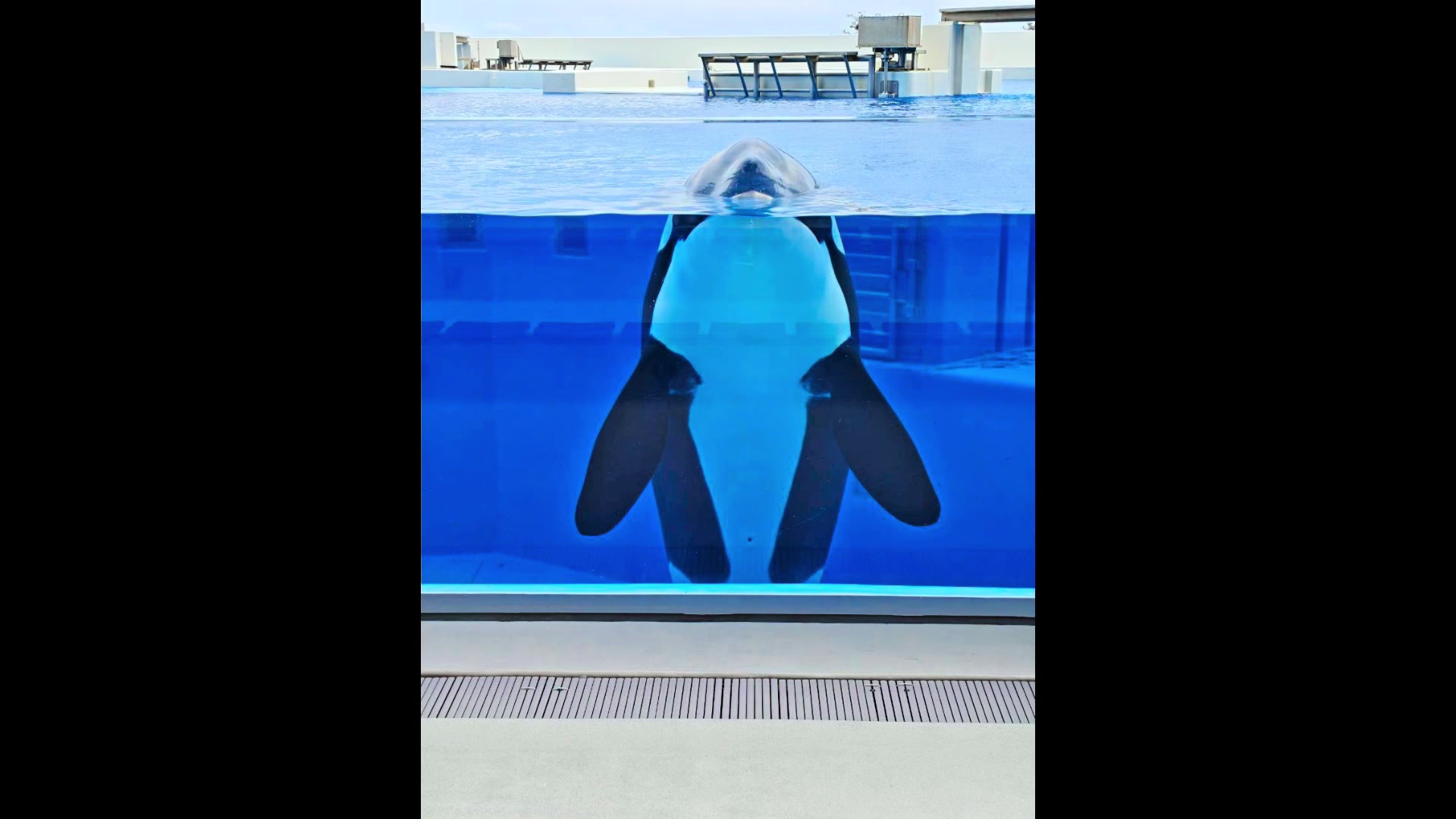 @kamurinðâ