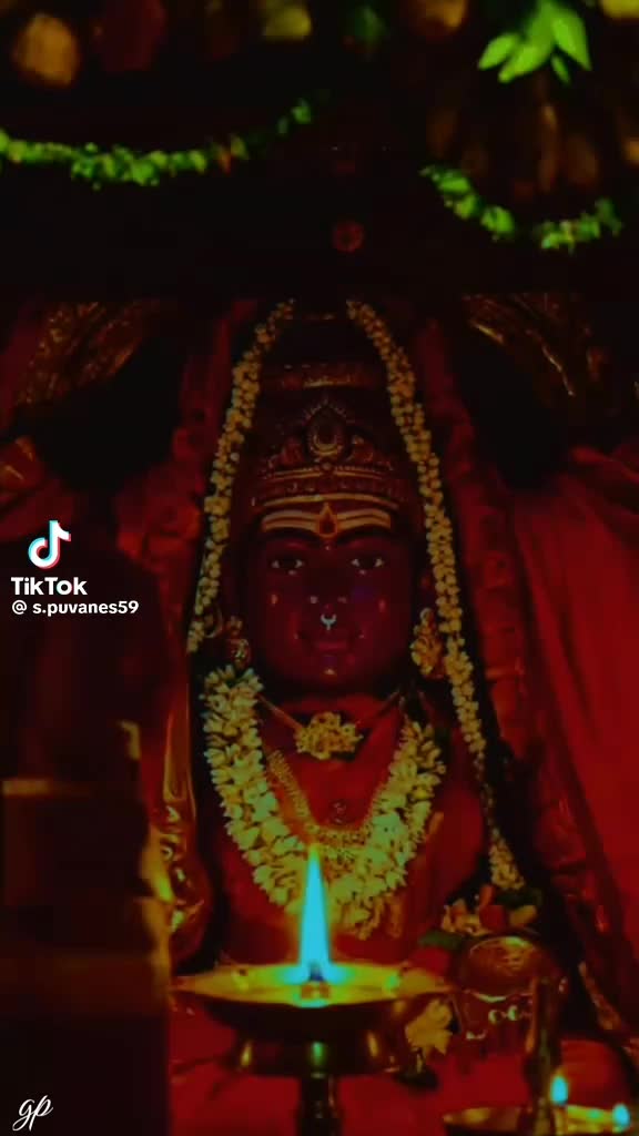 @Kutty Kutty