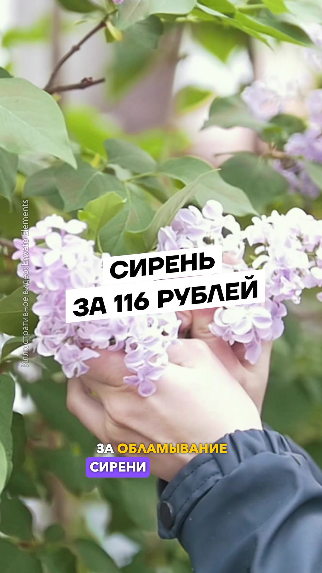 @Беларусь | Без фильтров