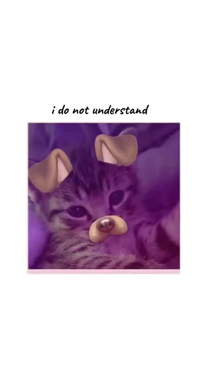 @Arianna