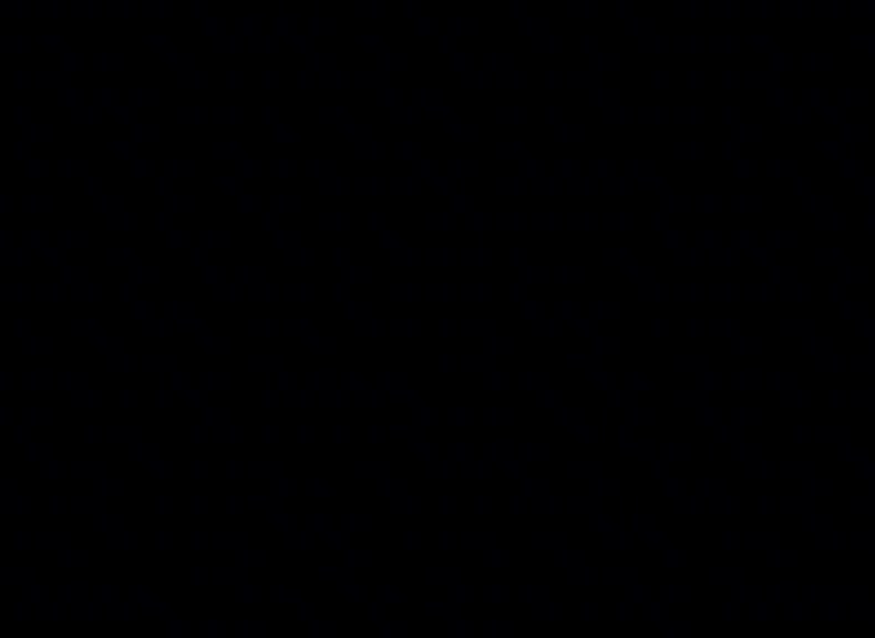 @Депутат Динакани