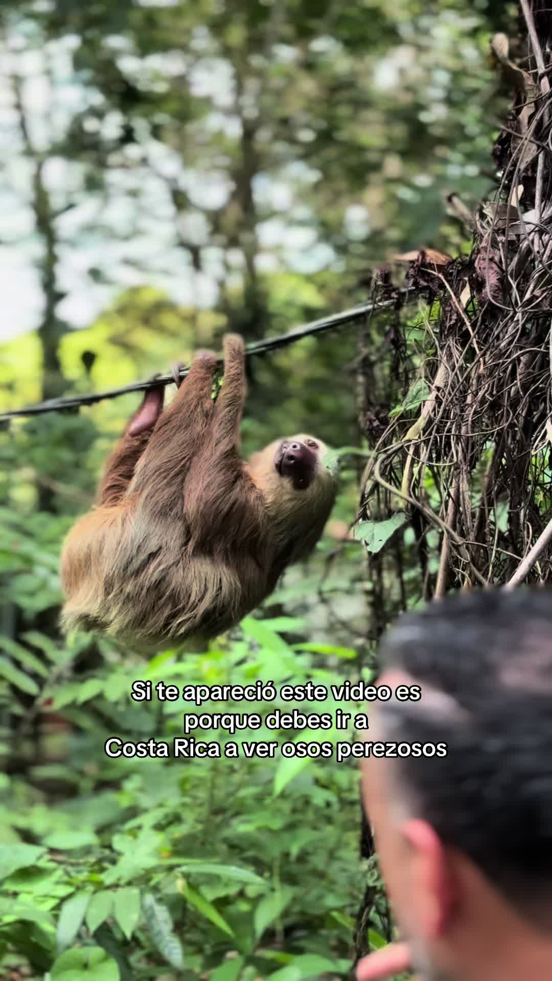 @Perdido en Tiktok