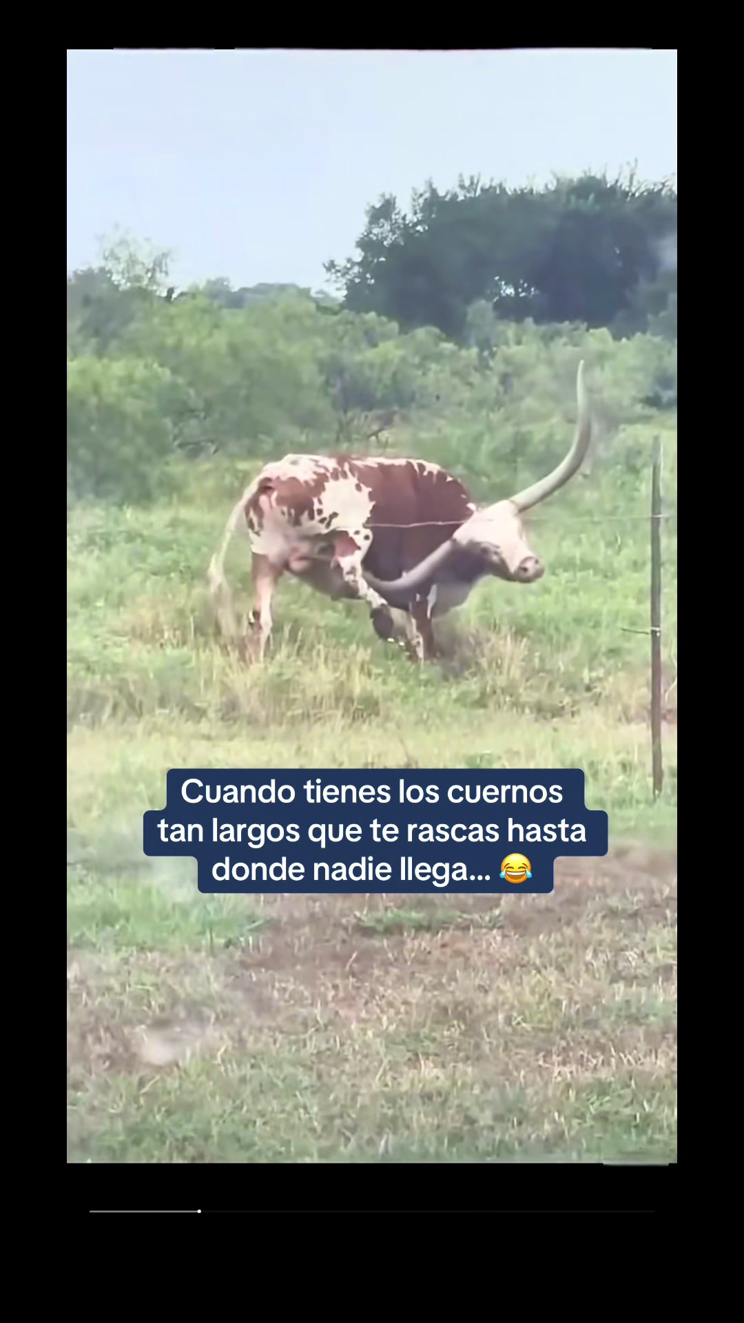 @Dany.fajardo.2025