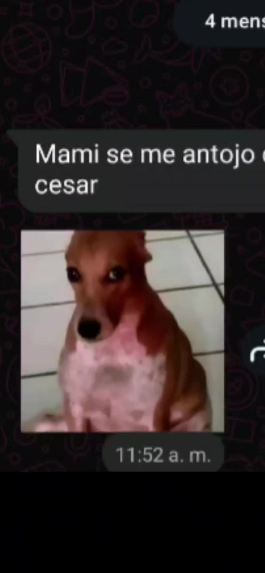 @Tady