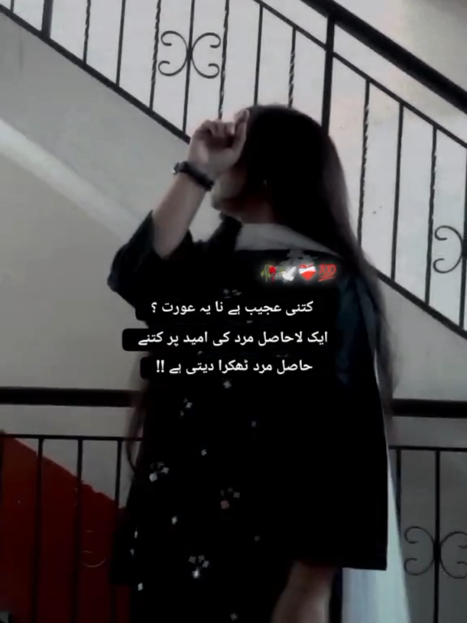 @✨와지하✨