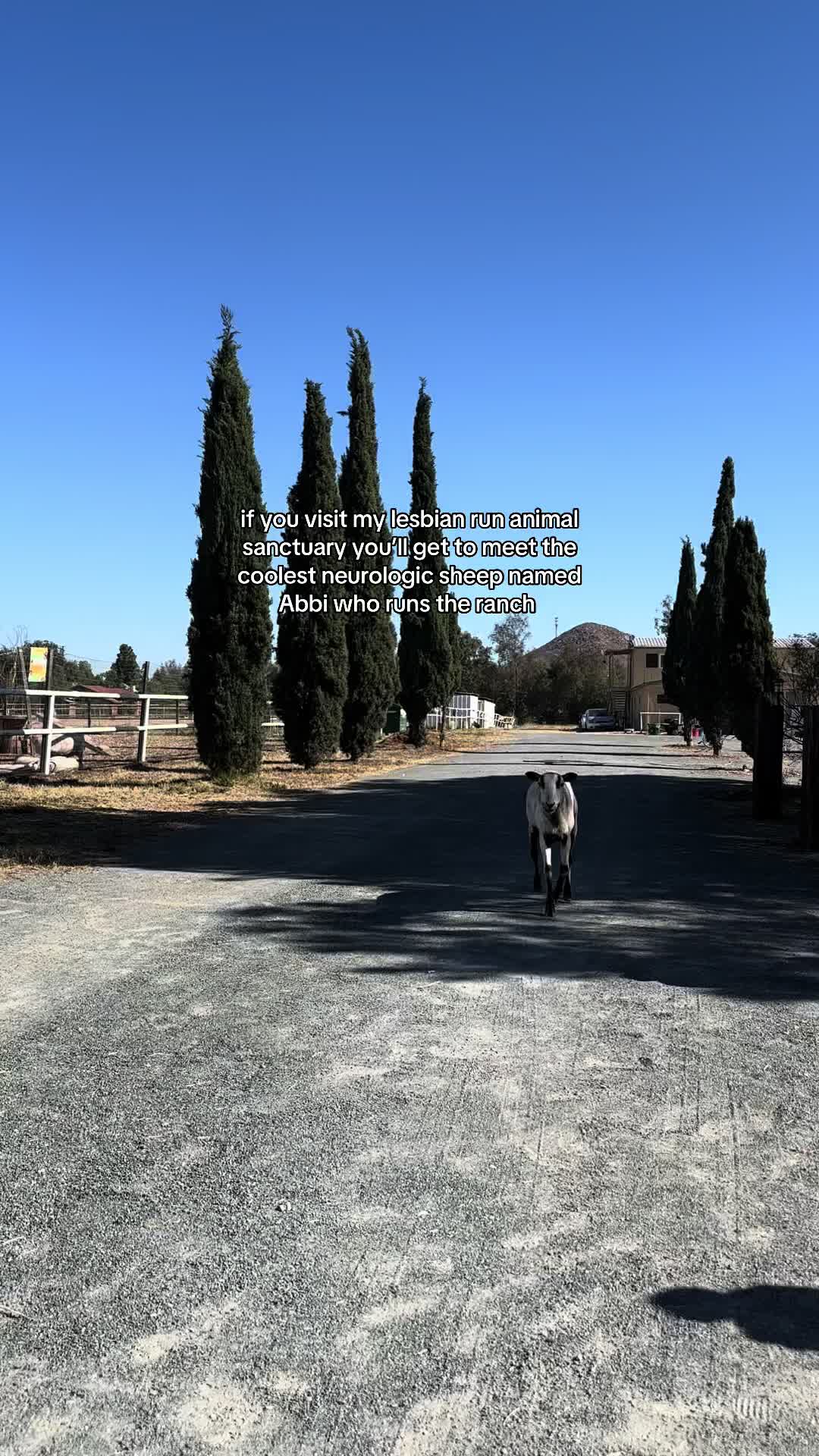 @Maya