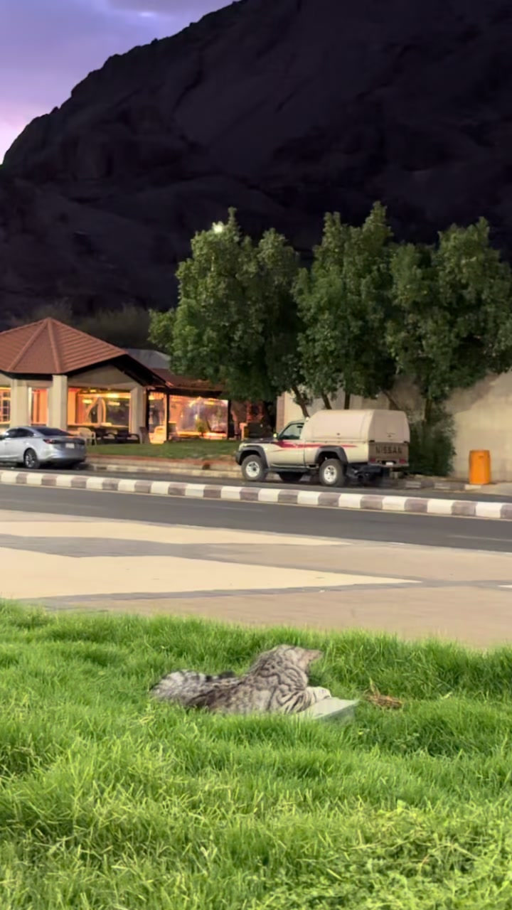 @آمـال ᥫ᭡