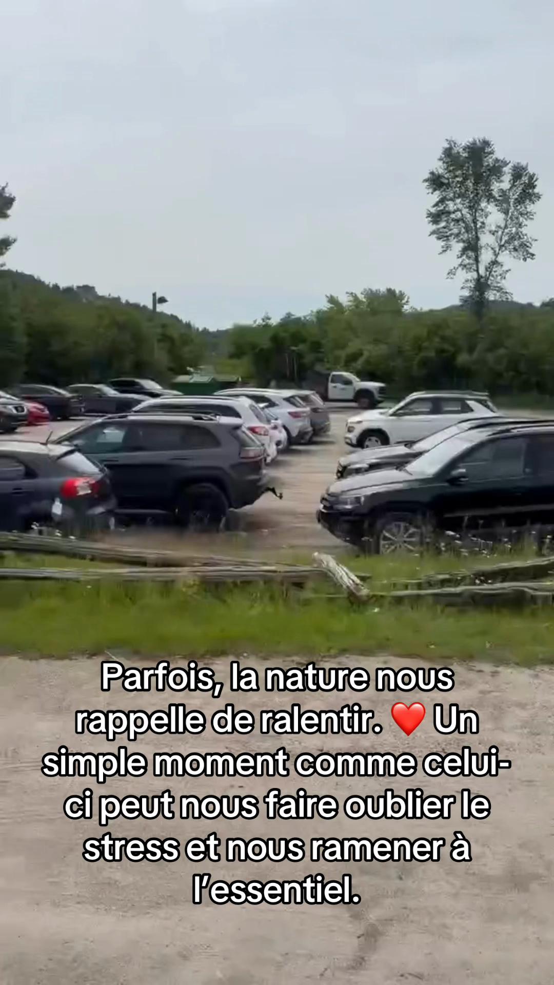@Renée Entre Éducatrice