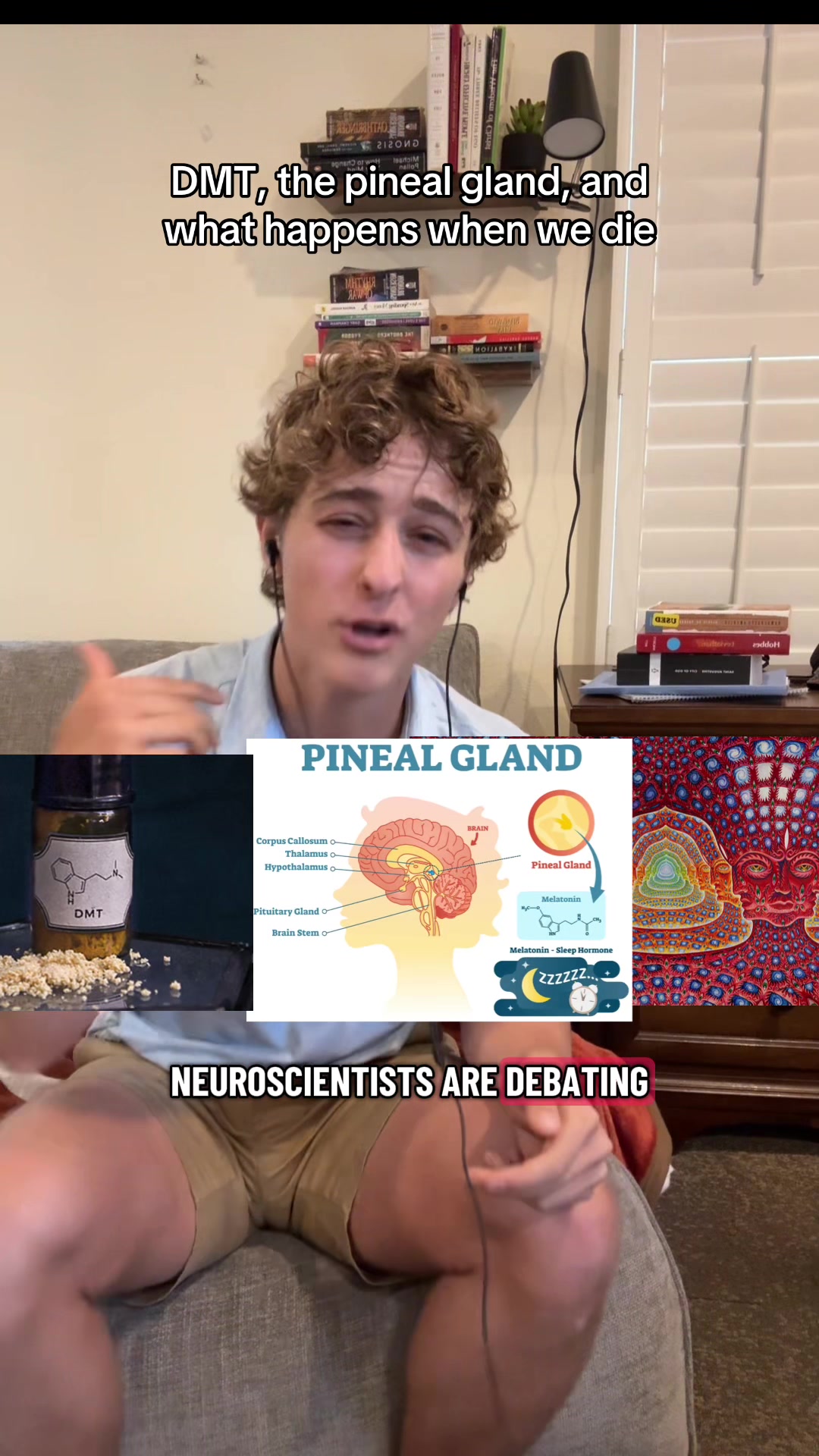 @brandonsbrainwave