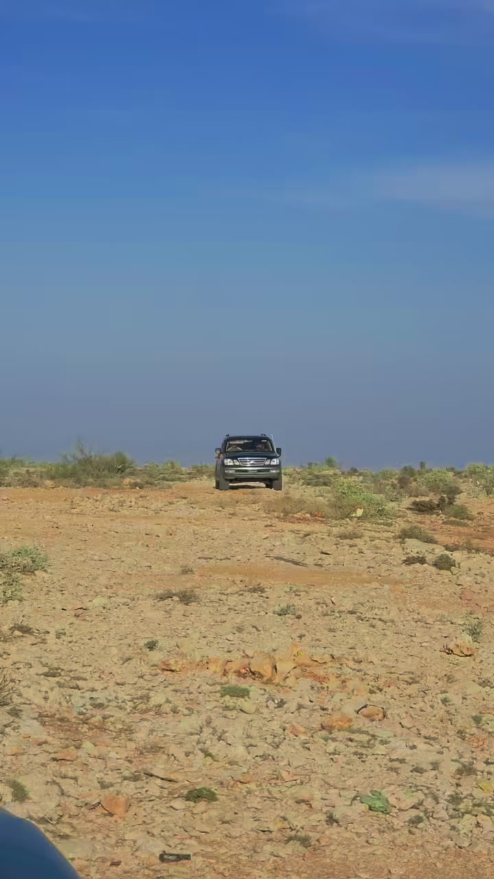 @جمالي طارق