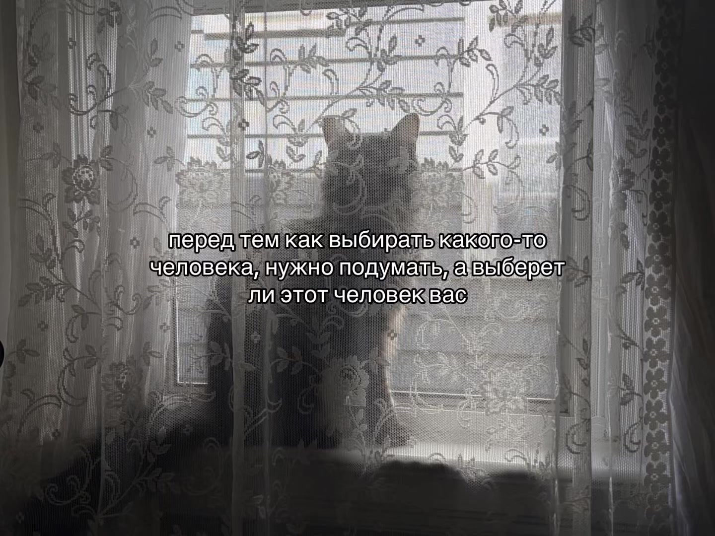 @𝒏𝒊𝒈𝒉𝒕𝒎𝒂𝒓𝒆