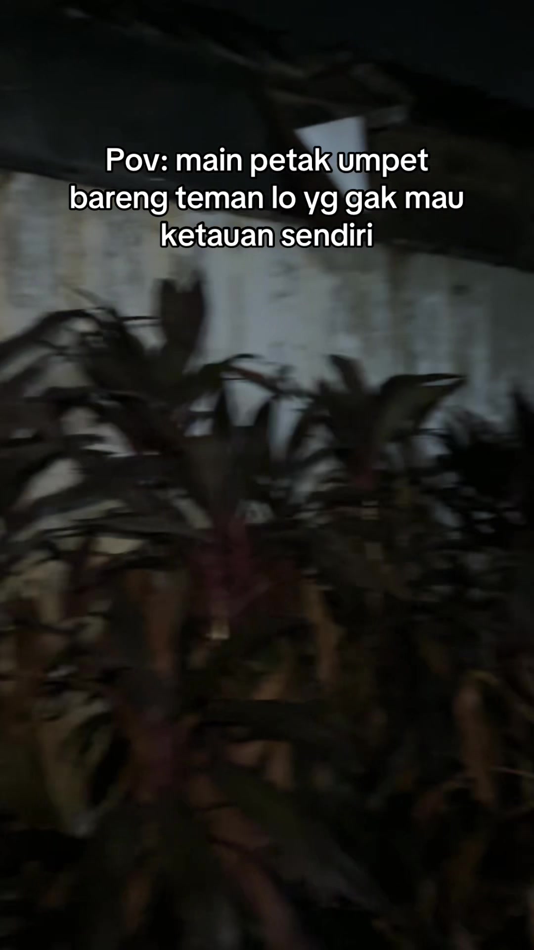 @mamatoo