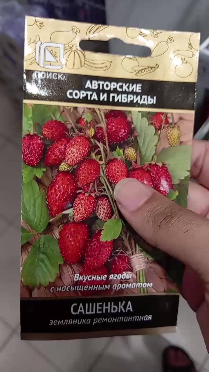 @alexsaenko3