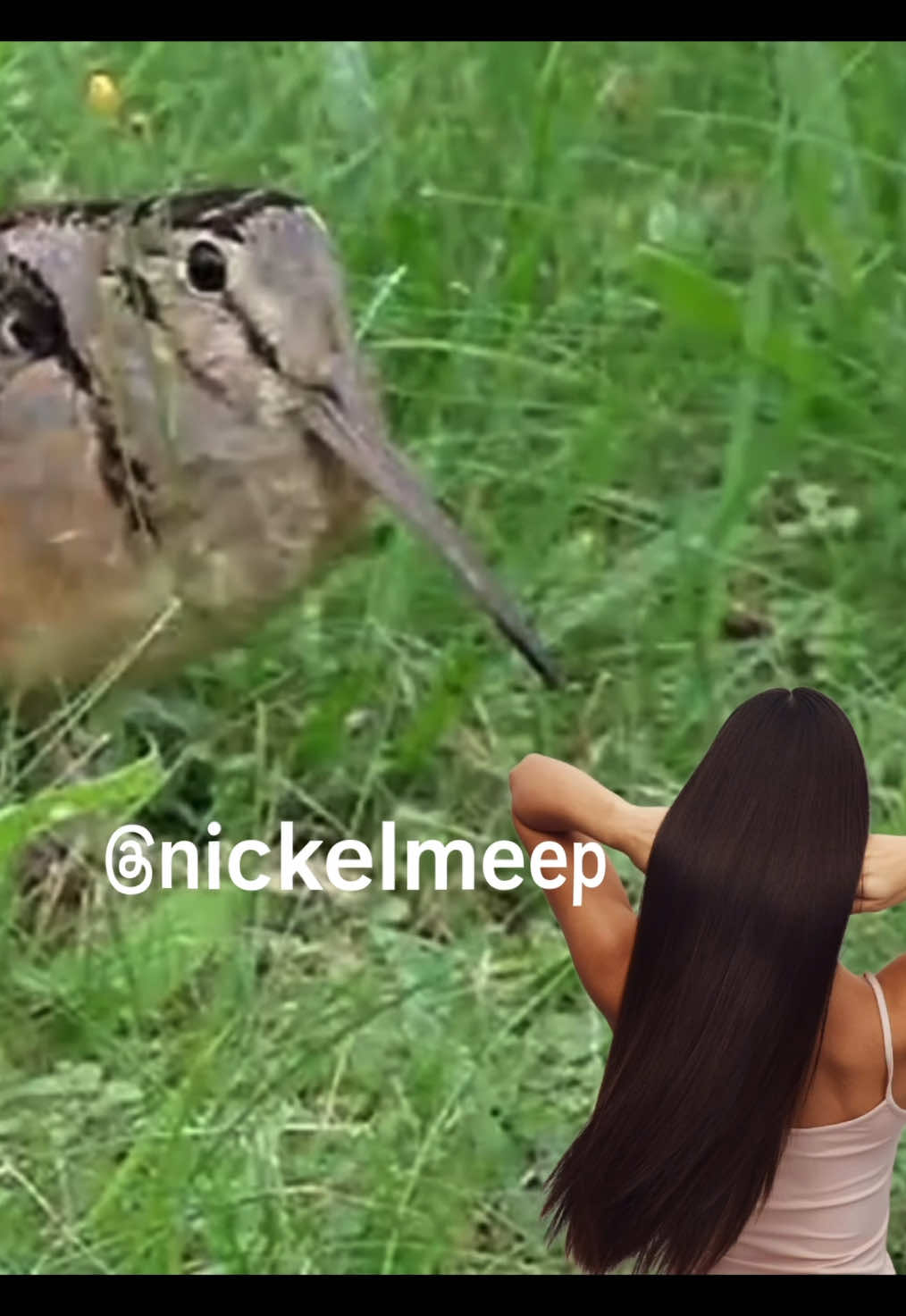@nickelmeep