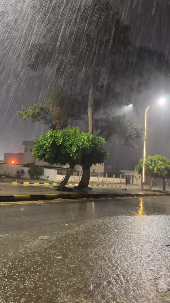 @ايمن القلبطي
