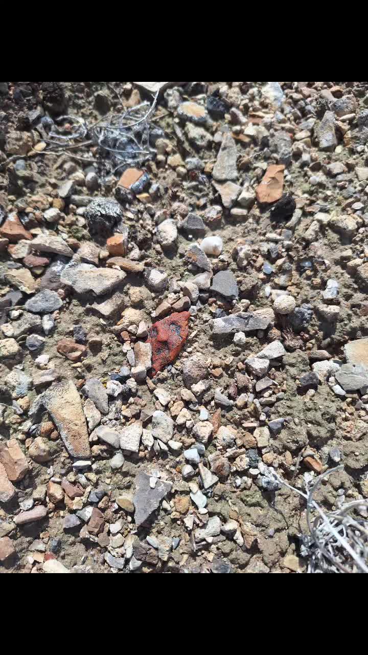 @Nevada HIGHDesert