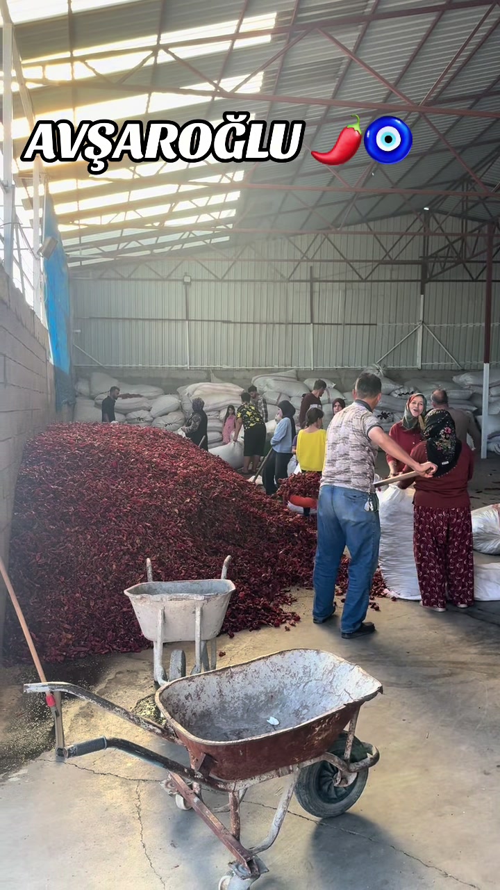 @HASAN AVŞAROĞLU🧿🌶️