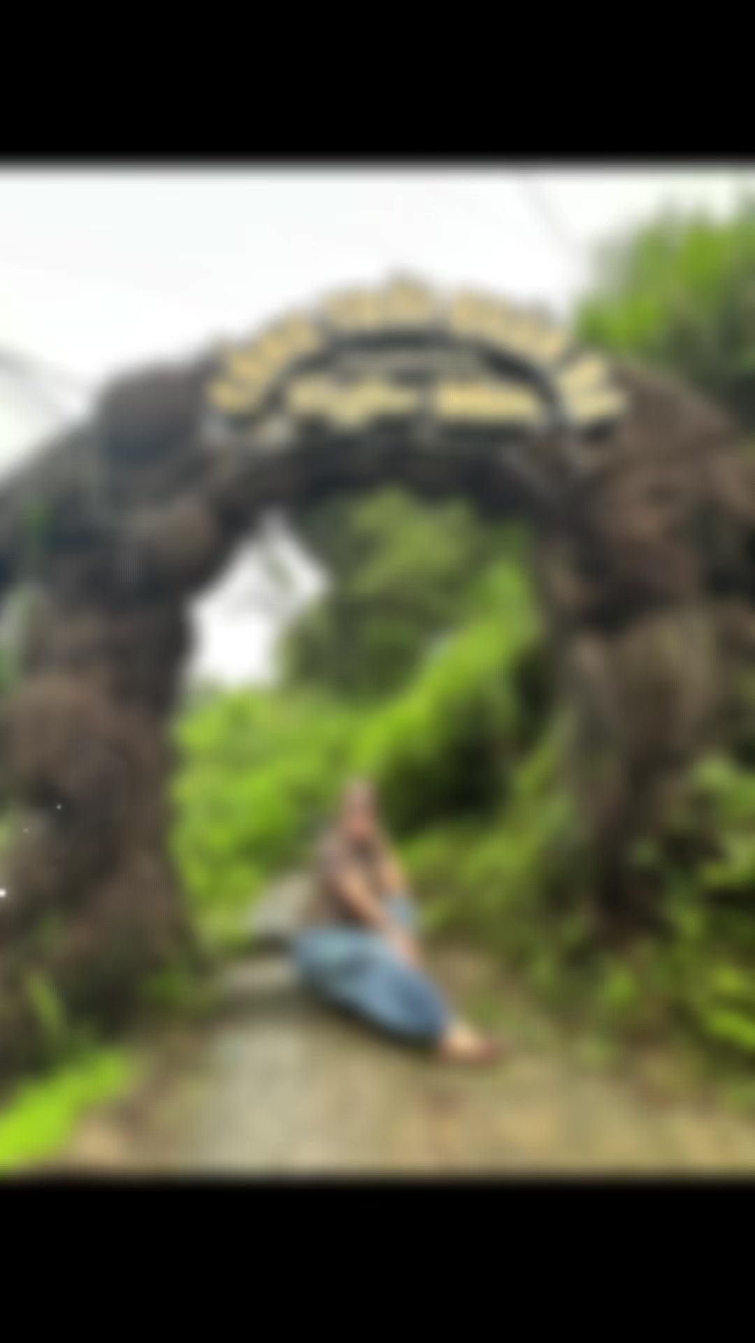 @Hoa sún ( nhí nhố)