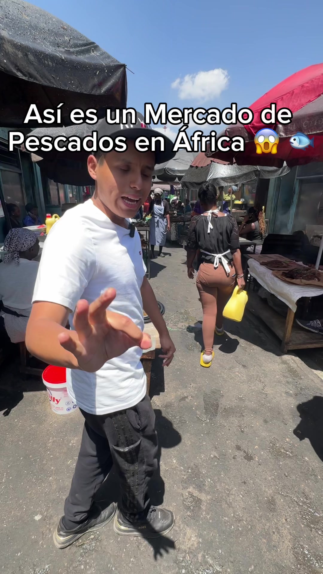 @Oscar Curi