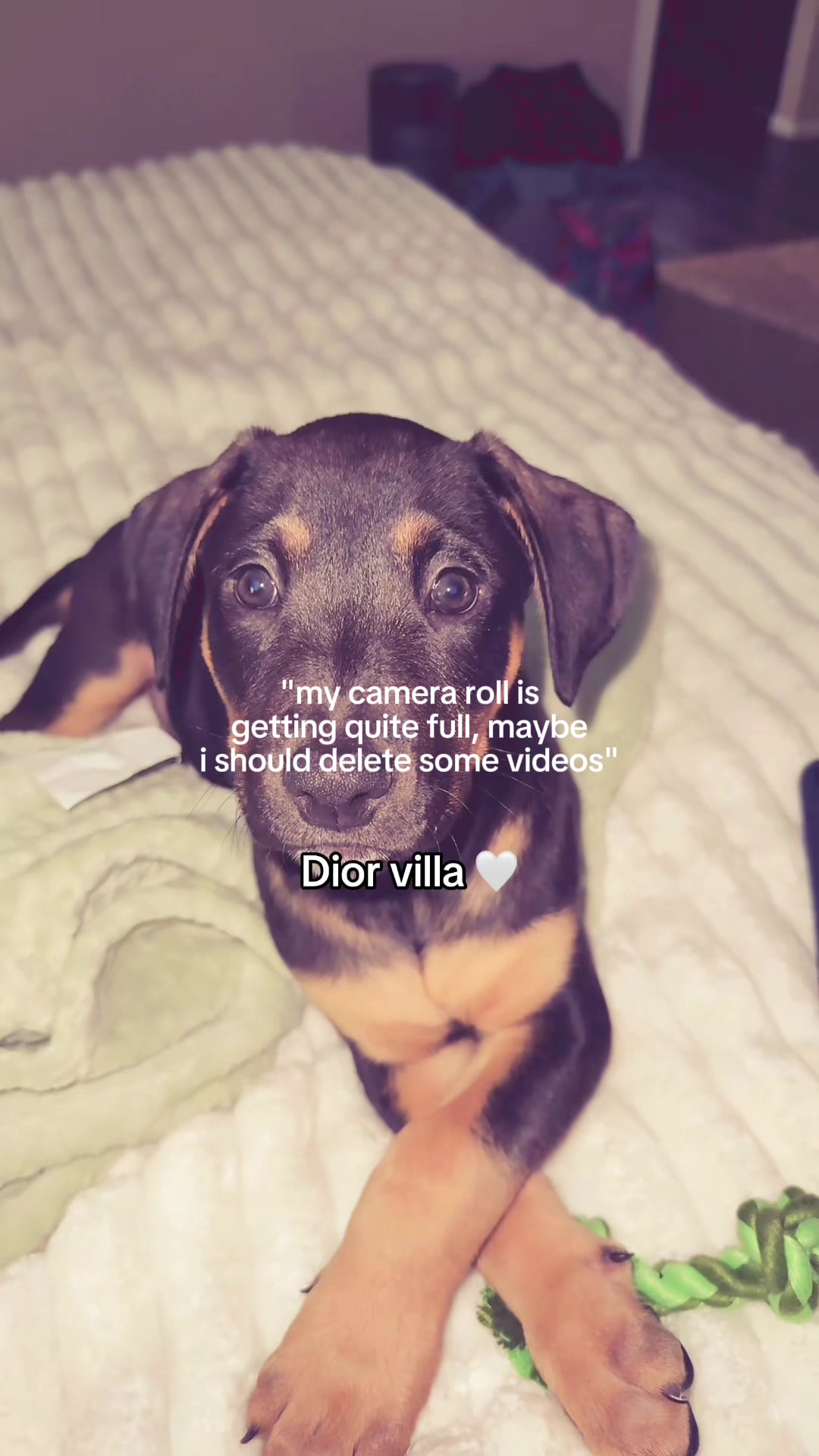 @makiya_villa