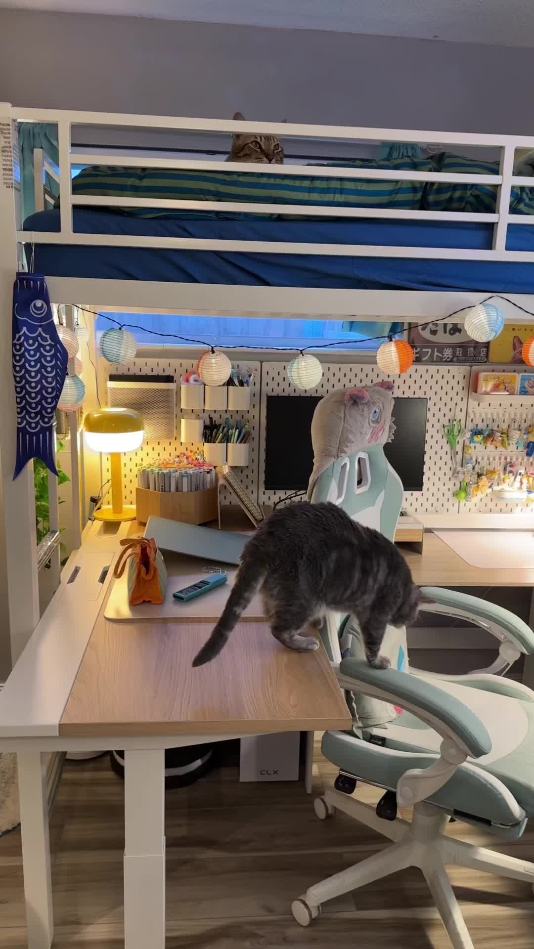@oreocatsu