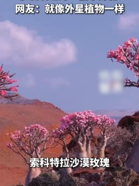@闽南风~
