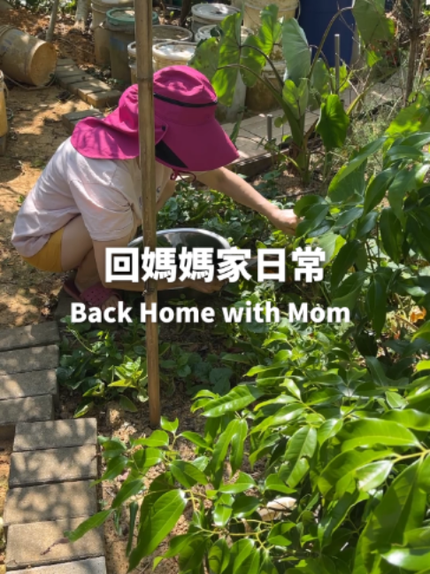 @桃漂屁屁雅
