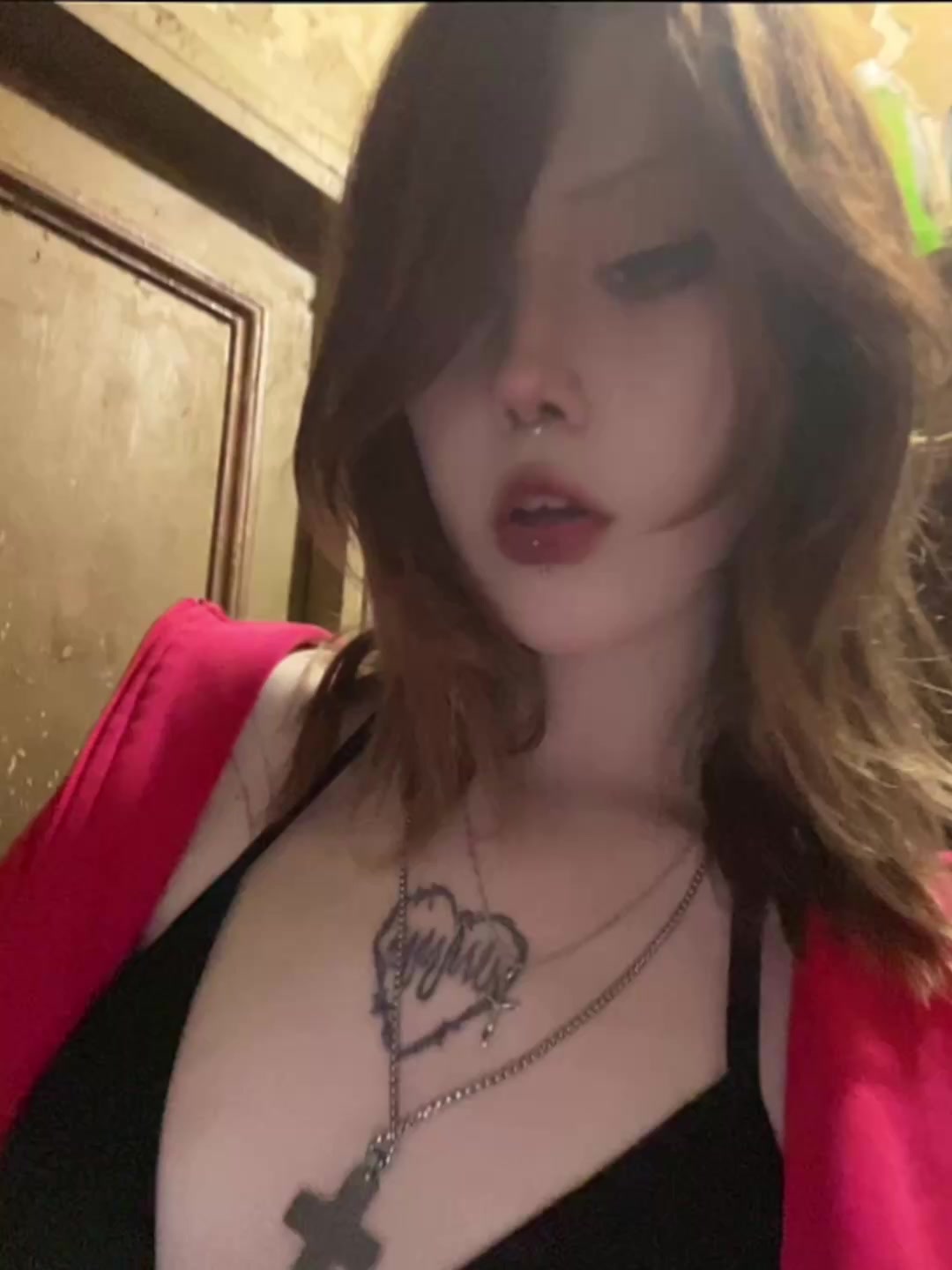 @alinkmeow𐙚