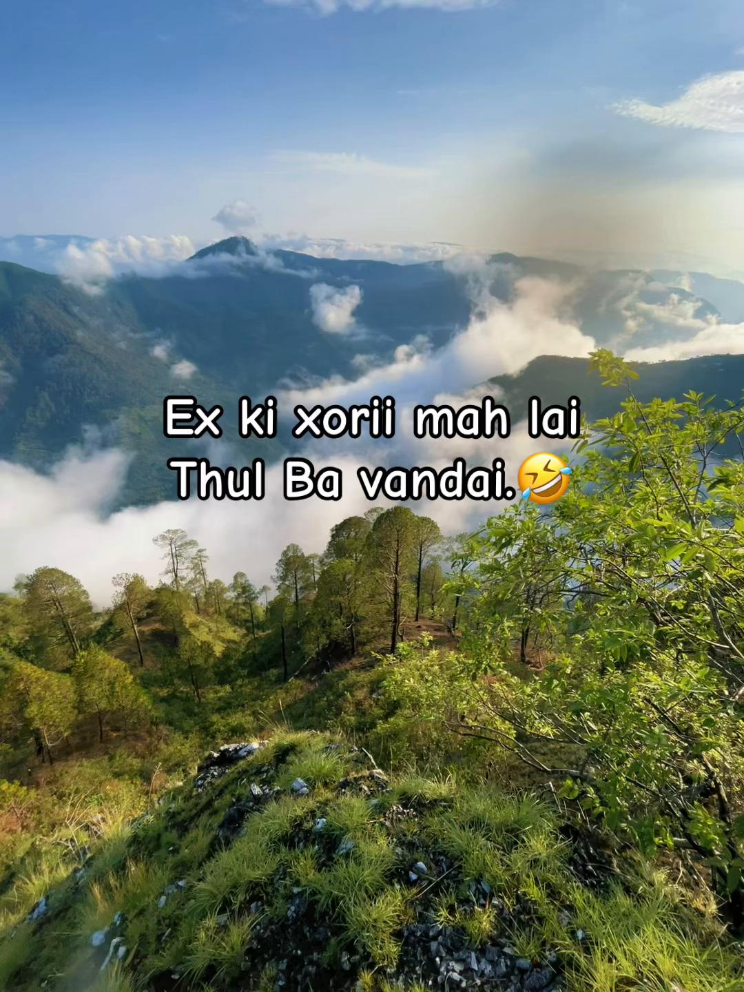 @LYLY 