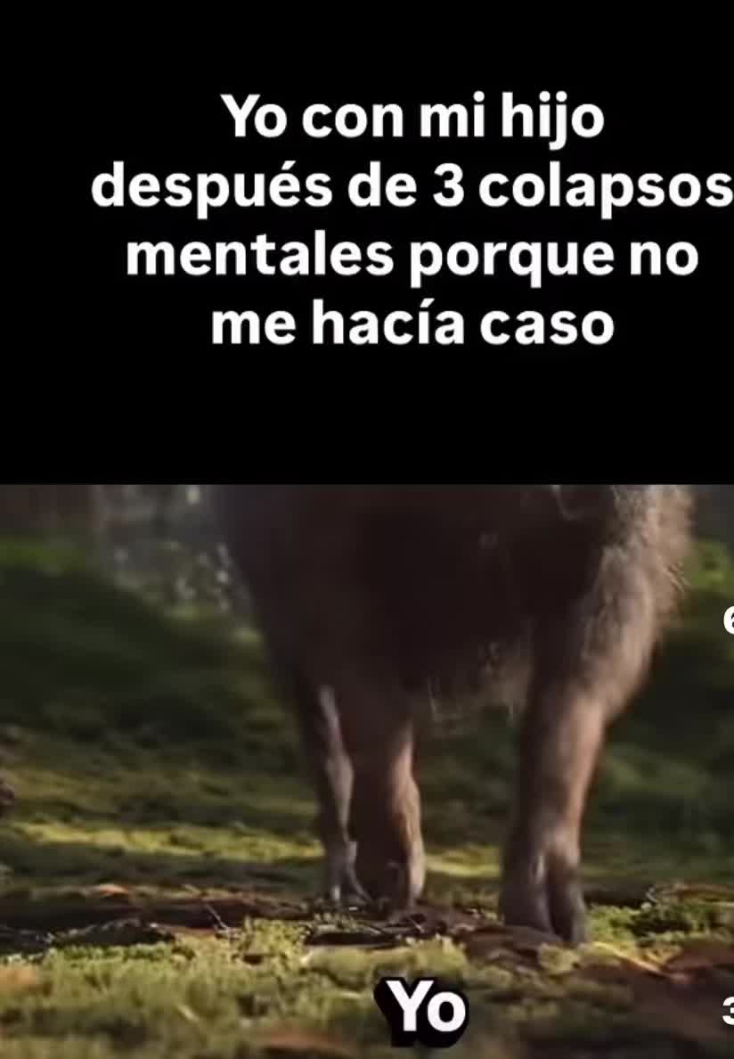@Soraida