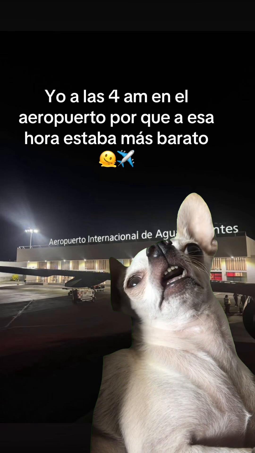 @Ana Paredes