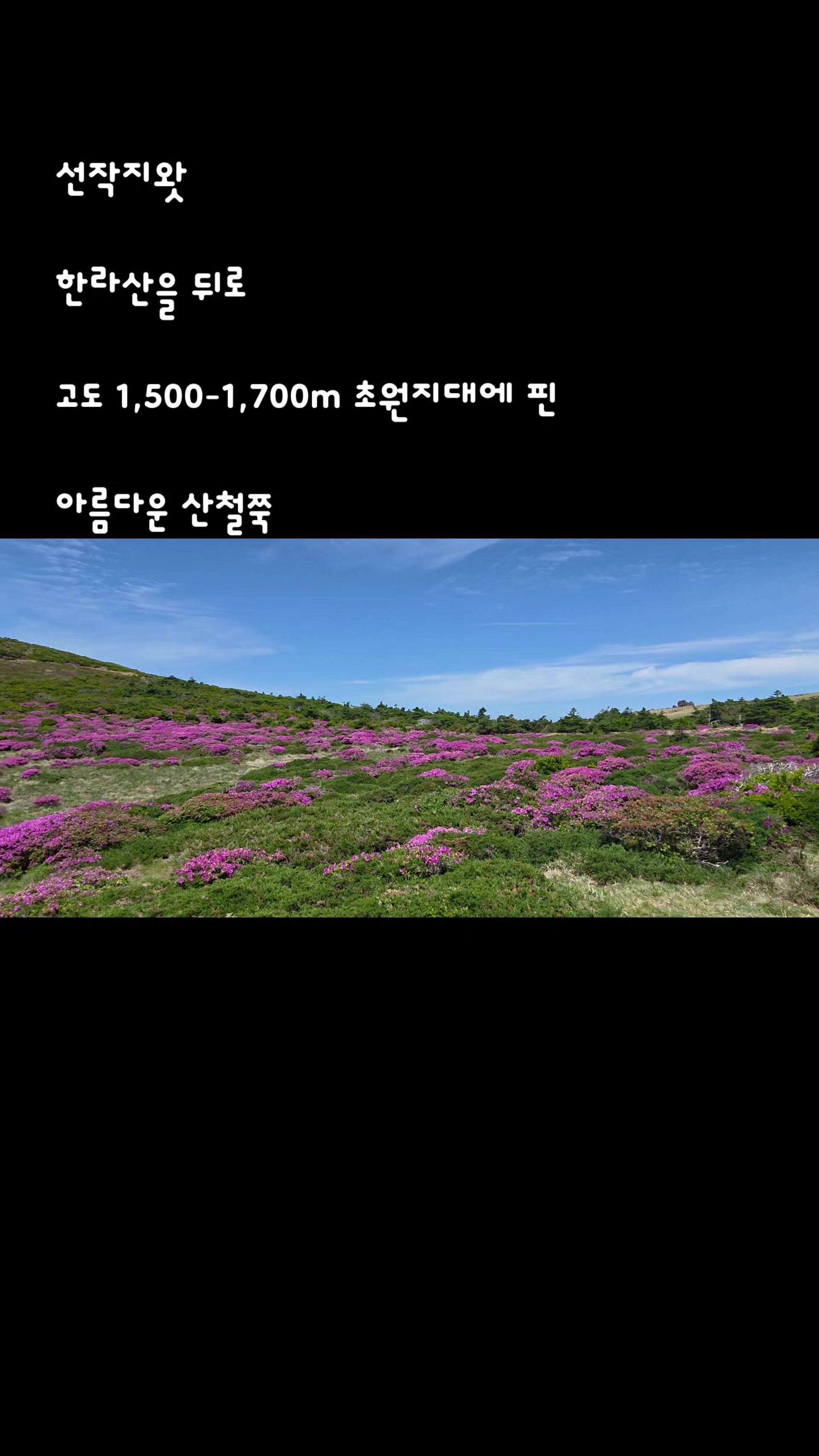 @참파