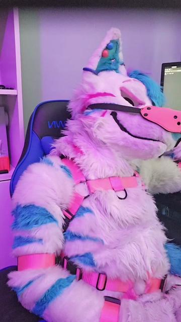 @Tolfzilla