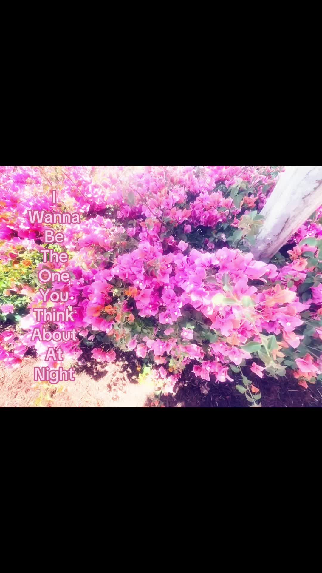@༄.&deg; ༄.&deg;