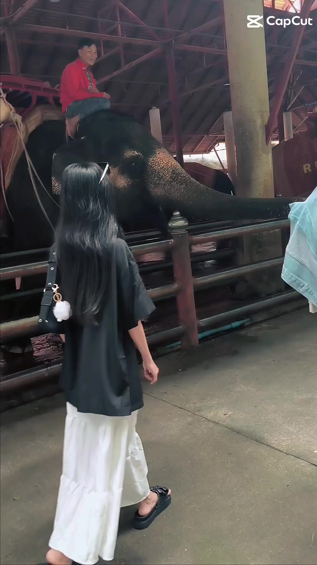 @💛နန္း💛 🇳🇱(Nan Yar Lin)🇳🇱