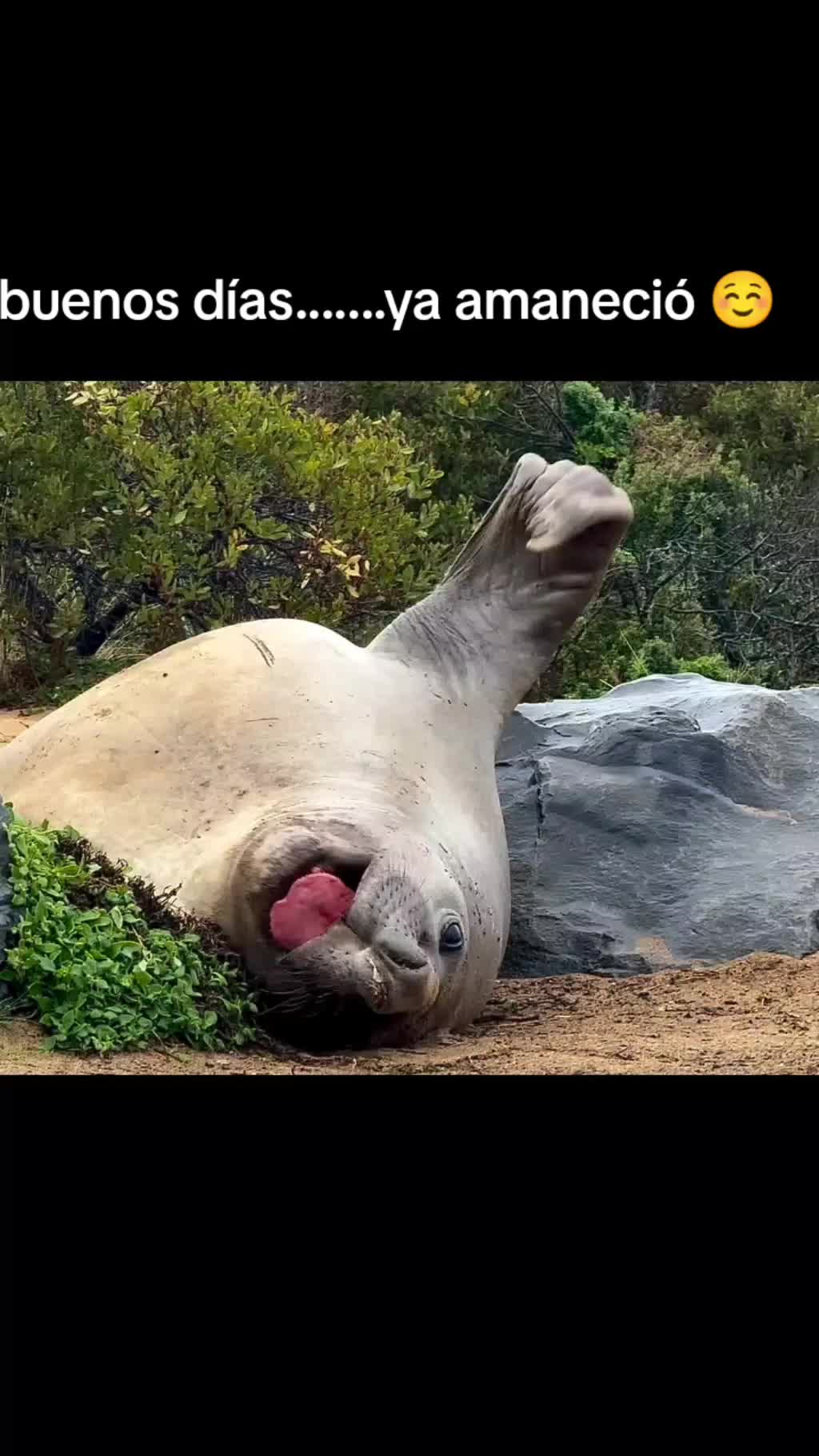 @mirinda