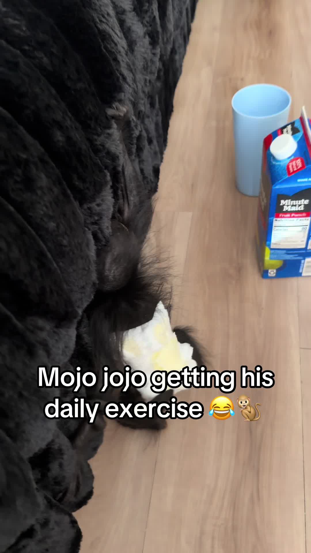 @OJTV & Mojo Jojo🧡
