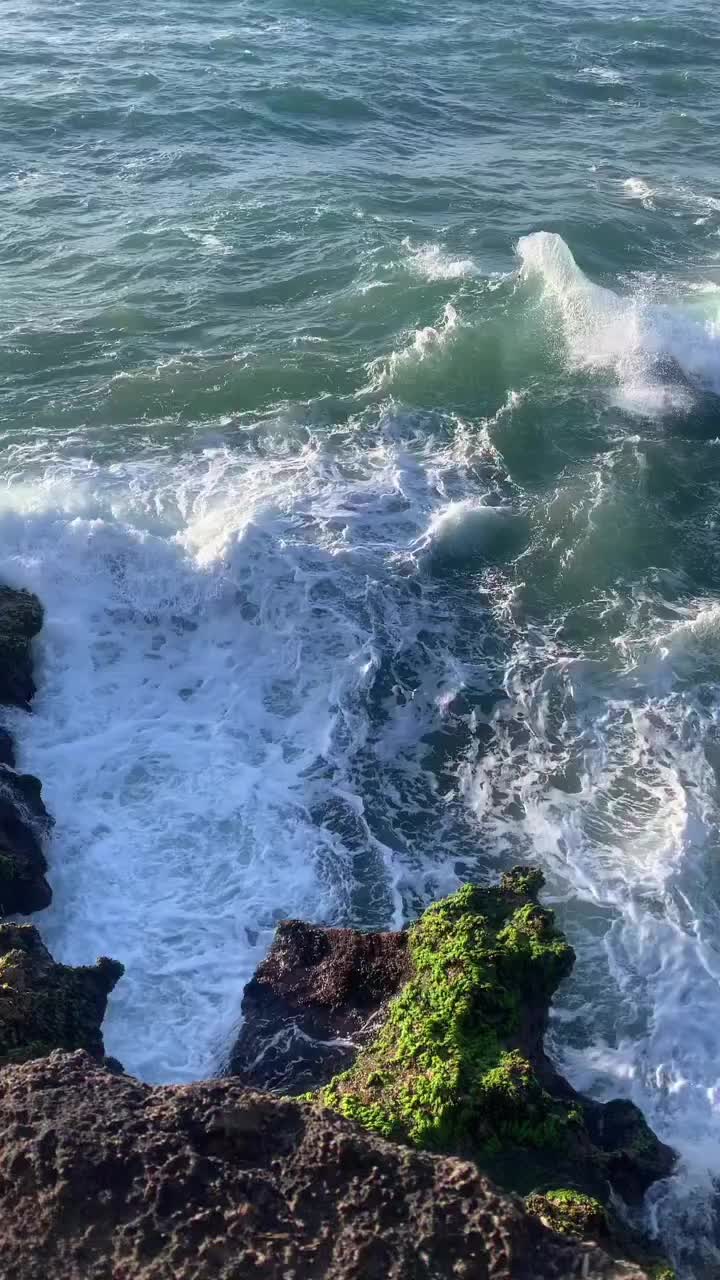 @ValiRôse 🌸🍁