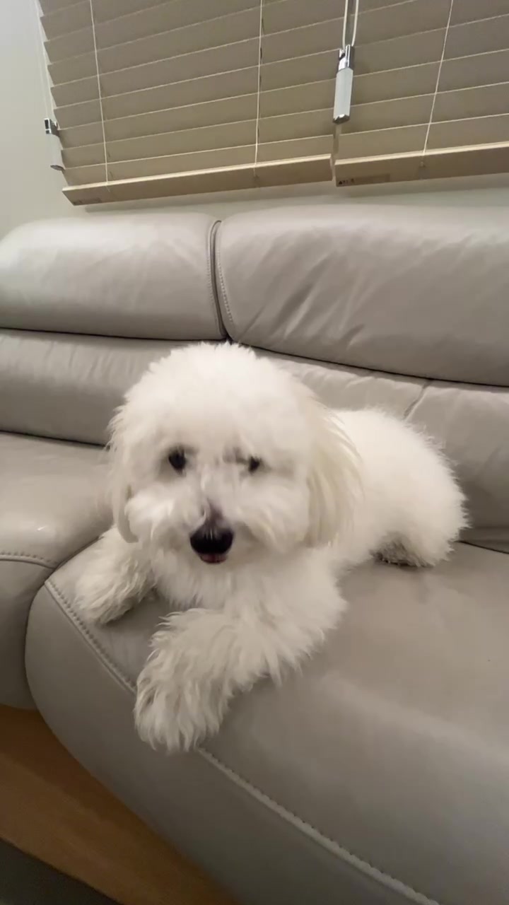 @jung_o9