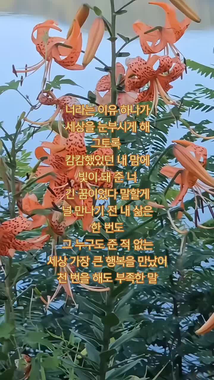 @ํดํผ๐happy๐love