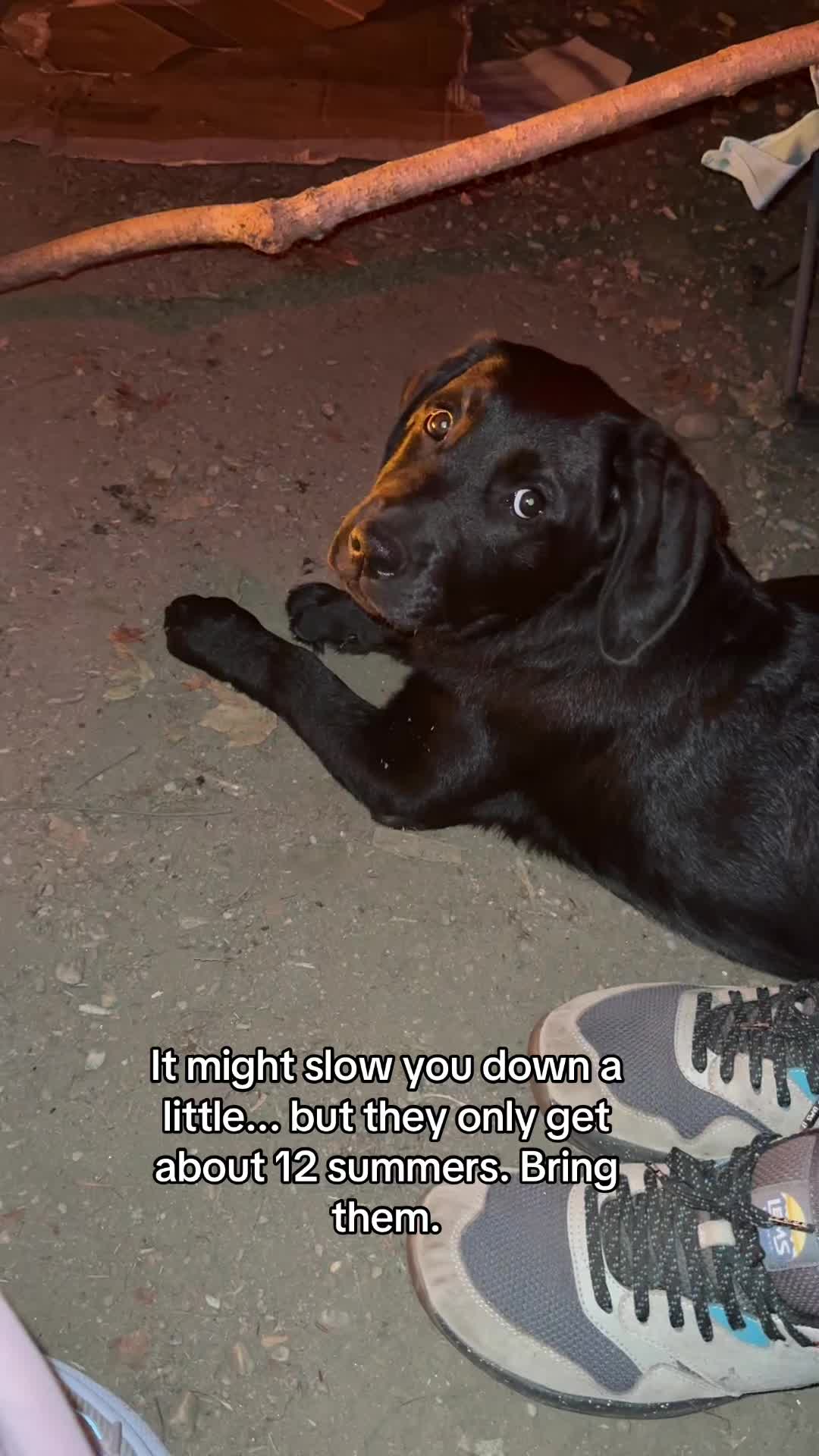 @DennisTheBlackLab
